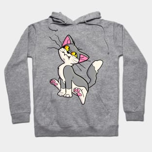 Suspicious Gray Cat Hoodie